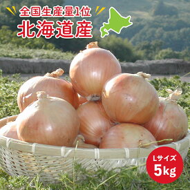 JAきたみらい 北海道産 北見 玉葱 L玉 5kg 約25個入り 生産量日本一 甘み 北海道 食品 通販 グルメ 野菜 ギフト 送料無料