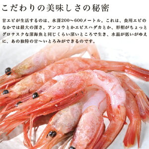 《送料無料》あまエビ北海道産【羽幌甘海老】500g甘エビ甘えびあまえびあま海老南蛮えび南蛮エビお刺身お中元ギフト贈答用プレゼントお土産