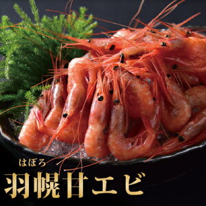 《送料無料》あまエビ北海道産【羽幌甘海老】500g甘エビ甘えびあまえびあま海老南蛮えび南蛮エビお刺身お中元ギフト贈答用プレゼントお土産