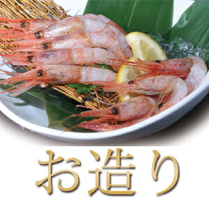 《送料無料》あまエビ北海道産【羽幌甘海老】500g甘エビ甘えびあまえびあま海老南蛮えび南蛮エビお刺身お中元ギフト贈答用プレゼントお土産