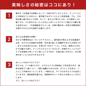 《送料無料》あまエビ北海道産【羽幌甘海老】500g甘エビ甘えびあまえびあま海老南蛮えび南蛮エビお刺身お中元ギフト贈答用プレゼントお土産