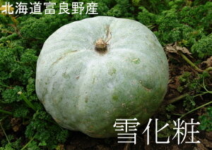 かぼちゃ 10kgの人気商品 通販 価格比較 価格 Com