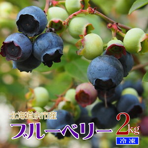 kC ]sY󂠂 Ⓚu[x[ Ղ 2KgyBEzY u[x[  W [Og X[W[ W[X ACXN[ kCY ]s