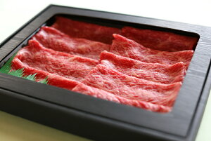 y撬zykCYzA5 тƂa Ă600gyBEzјa A5 a Ă   uh Y kCY 拍 Mtg