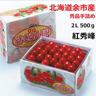 北海道余市産 さくらんぼ【紅秀峰】2L 500g 秀品 手詰め 化粧箱入※送料無料【九州を除く】 ※沖縄への配…
