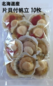 ykCYzЊLt 10 ⓀyBEzkC ЊLق z^e  L o[xL[