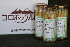 yYnzykCYzyb̍ōizyzCgAXpzsNX140g×3ZbgyBEzkCԈ쑺 R|bN L@͔| HAXpK