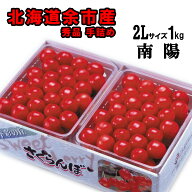 北海道余市産 さくらんぼ【南陽】2L 1kg秀品 手詰め 化粧箱※送料無料【九州を除く】※沖縄への発送は不…