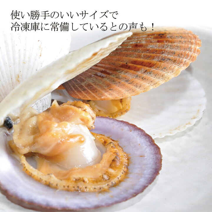 楽天市場 北海道小樽産 ベビーホタテ 殻付き 5kg生冷凍 1kgずつの袋詰になります 2個から送料が変わります 2個で100サイズ 3個で1サイズになります ほたて 稚貝 帆立 ホタテ 貝付 ホタテ 貝 北海道 味噌汁 鍋 業務用 ほたて 冷凍 小樽 ホタテ 殻付き Hokkaido