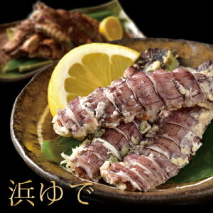 【小樽高島プレミアムシャコ】大ぶりしゃこ特大20尾入り水揚後すぐボイル冷凍大きさ日本一全て子持ち大容量プレミアム至福の美味さ肉厚濃厚水揚後すぐボイル小樽北海道春しゃこシャコしゃこガサエビ【北海道産しゃこ】【小樽産しゃこ】
