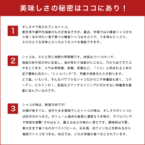 【小樽高島プレミアムシャコ】大ぶりしゃこ特大20尾入り水揚後すぐボイル冷凍大きさ日本一全て子持ち大容量プレミアム至福の美味さ肉厚濃厚水揚後すぐボイル小樽北海道春しゃこシャコしゃこガサエビ【北海道産しゃこ】【小樽産しゃこ】