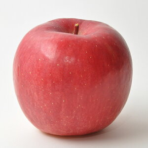 kC ]s Yn 񂲁yӂz5kg16`20 L@엿gp12{蔭\聦yBEz  5kg tW  ӂ kCY ]sY S ь 