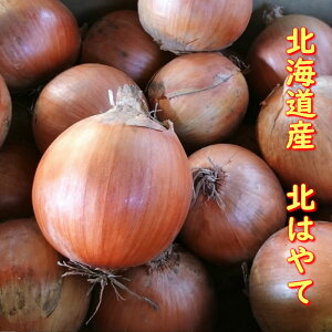 kCY ܂˂ k͂ 10kg M`L