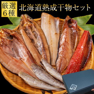 y10/1XSi10%OFFz  Mtg   kC 6튱Zbg kC CN v̖ڗ j ̓ ̓ hV̓ a  Ε