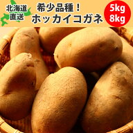 じゃがいも 北海道 ホッカイコガネ 5kg 8kg 変わった品種 送料無料 産地直送 ジャガイモ 北海道産 北海コ…
