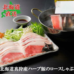 y12/1XSi10%OFFzkC^Y@n[u؂̃[X kC Ԃ IKm Vi WW[ icO kCMtg kCO N ~