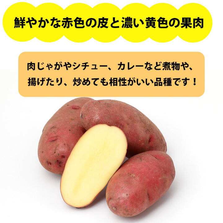 楽天市場】じゃがいも 北海道 レッドムーン 5kg 変わった品種 紅 