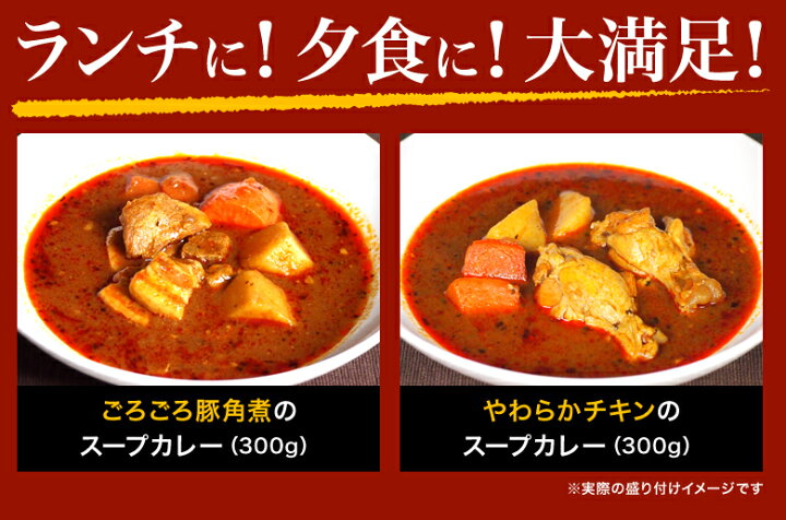 楽天市場】スープカレー 業務用20食 送料無料 札幌極みスープカレー 