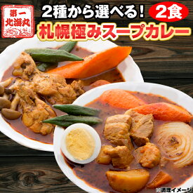スープカレー 送料無料 2種から選べる 札幌極みスープカレー 2食 豚角煮 チキン 北海道 北海道グルメ 北海道お取り寄せグルメ おいしいレトルトカレー レトルト スープ カレー セット お取り寄せ レトルトカレー 具だくさん 豚角煮 チキン 湯煎