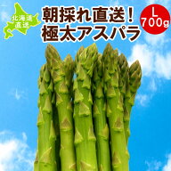 アスパラ 北海道 グリーンアスパラ 700g 産地直送 ハウス栽培 Lサイズ 朝採れ 極太 ギフト 贈り物 プレゼ…