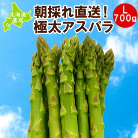 アスパラ 北海道 夏 7月中旬発送 グリーンアスパラ 700g 産地直送 ハウス栽培 Lサイズ 朝採れ 極太 ギフト 贈り物 プレゼント