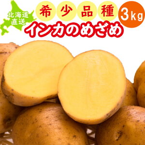 CĴ߂ n Ⴊ kC CĴ߂ 󏭕i 3kg Yn WKC kCY