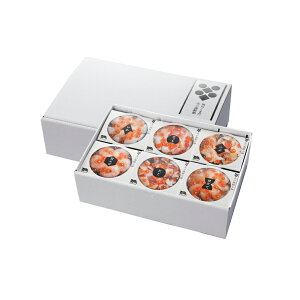 yzy ܂ k̊CN(6HZbg) z  j oYj Vzj Cj Mtg 蕨