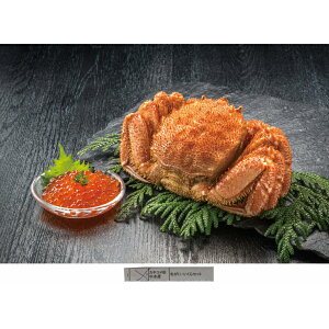 yzy JlRcY тɁEZbg z  j oYj Vzj Cj Mtg 蕨