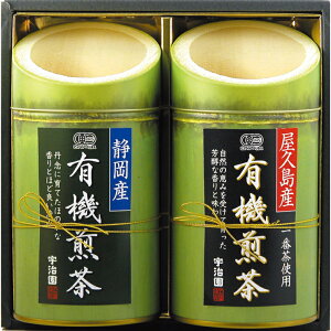 yzy F YnIL@Mtg LK-50 z  j oYj Vzj Cj Mtg 蕨