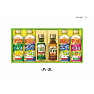 yzy ICI oGeBICMtg OV-30 z  j oYj Vzj Cj Mtg 蕨