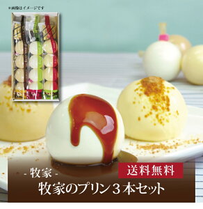 yzy q qƂ̃v3{Zbg z  j oYj Vzj Cj Mtg 蕨