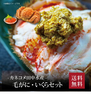 �y���������z�y �J�l�R���c�����Y �т��ɁE������Z�b�g �z������ �������� ���j�� �o�Y���j�� �V�z���j�� ���C�j�� �M�t�g ���蕨