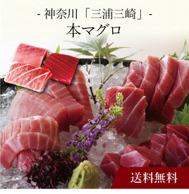 【ポイント5倍】〔 神奈川「三浦三崎」本まぐろ 〕お取り寄せ 送料無料 内祝い 出産内祝い 新築内祝い 快気祝い ギフト 贈り物