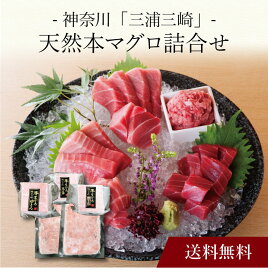 【ポイント5倍】〔 神奈川「三浦三崎」天然本マグロ詰合せ 〕お取り寄せ 送料無料 内祝い 出産内祝い 新築内祝い 快気祝い ギフト 贈り物