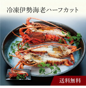 yzk ⓀɐCVn[tJbg l  j oYj Vzj Cj Mtg 蕨