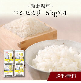 【ポイント5倍】〔 新潟県産 コシヒカリ 〕お取り寄せ 送料無料 内祝い 出産内祝い 新築内祝い 快気祝い ギフト 贈り物