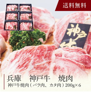 yzk  _ˋē l  j oYj Vzj Cj Mtg 蕨