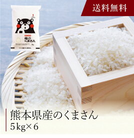 【ポイント2倍】〔 熊本県産 森のくまさん 〕お取り寄せ 送料無料 内祝い 出産内祝い 新築内祝い 快気祝い ギフト 贈り物