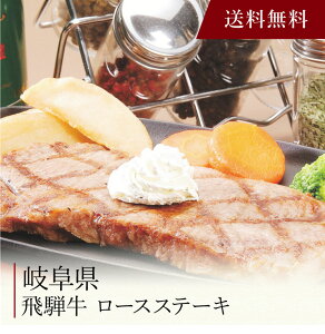 yzk  ˋ [XXe[L l  j oYj Vzj Cj Mtg 蕨