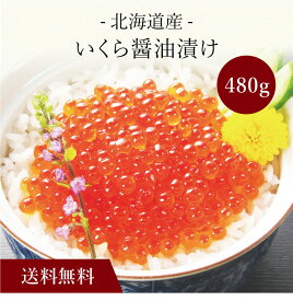 【ポイント2倍】〔 北海道産 いくら醤油漬け 〕お取り寄せ 送料無料 内祝い 出産内祝い 新築内祝い 快気祝い ギフト 贈り物