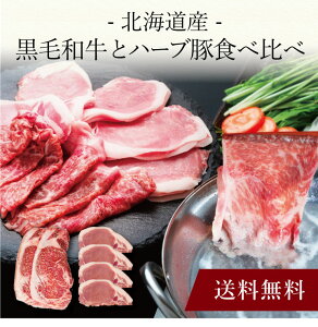 yzk kCY јaƃn[uؐHה 746 l  j oYj Vzj Cj Mtg 蕨