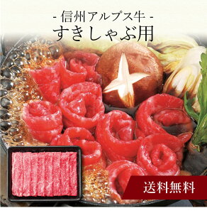 yzk MBAvX ԗp l  j oYj Vzj Cj Mtg 蕨