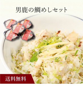 yzk j̑߂Zbg l  j oYj Vzj Cj Mtg 蕨