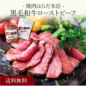 yzk uē͂炾{Xvјa[Xgr[t SK-58 l  j oYj Vzj Cj Mtg 蕨