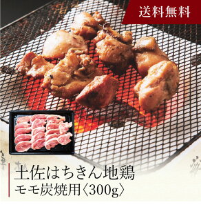 yzk y͂n{ Yėpi300gjSK-61 l  j oYj Vzj Cj Mtg 蕨