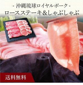 yzk ꗮC|[N [XXe[LԂԃZbg SK-103 l  j oYj Vzj Cj Mtg 蕨