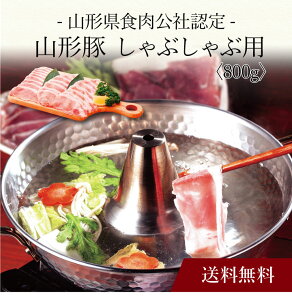 yzk R`HДF R` Ԃԗpi800gjSK-111 l  j oYj Vzj Cj Mtg 蕨