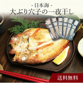 yzk {CԂ茊q̈銱 l  j oYj Vzj Cj Mtg 蕨