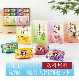 【ポイント5倍】【 炭酸 薬用入浴剤セット BKK-20 】お取り寄せ 送料無料 内祝い 出産内祝い 新築内祝い 快気祝い ギフト 贈り物