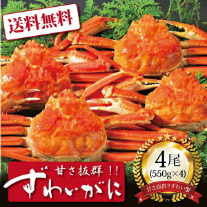 yz[ {C킢Ɏp550g4 ]  j oYj Vzj Cj Mtg 蕨